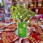 "Búp sen xanh " - Những nét phác hoạ chân thực nhất về Bác Hồ